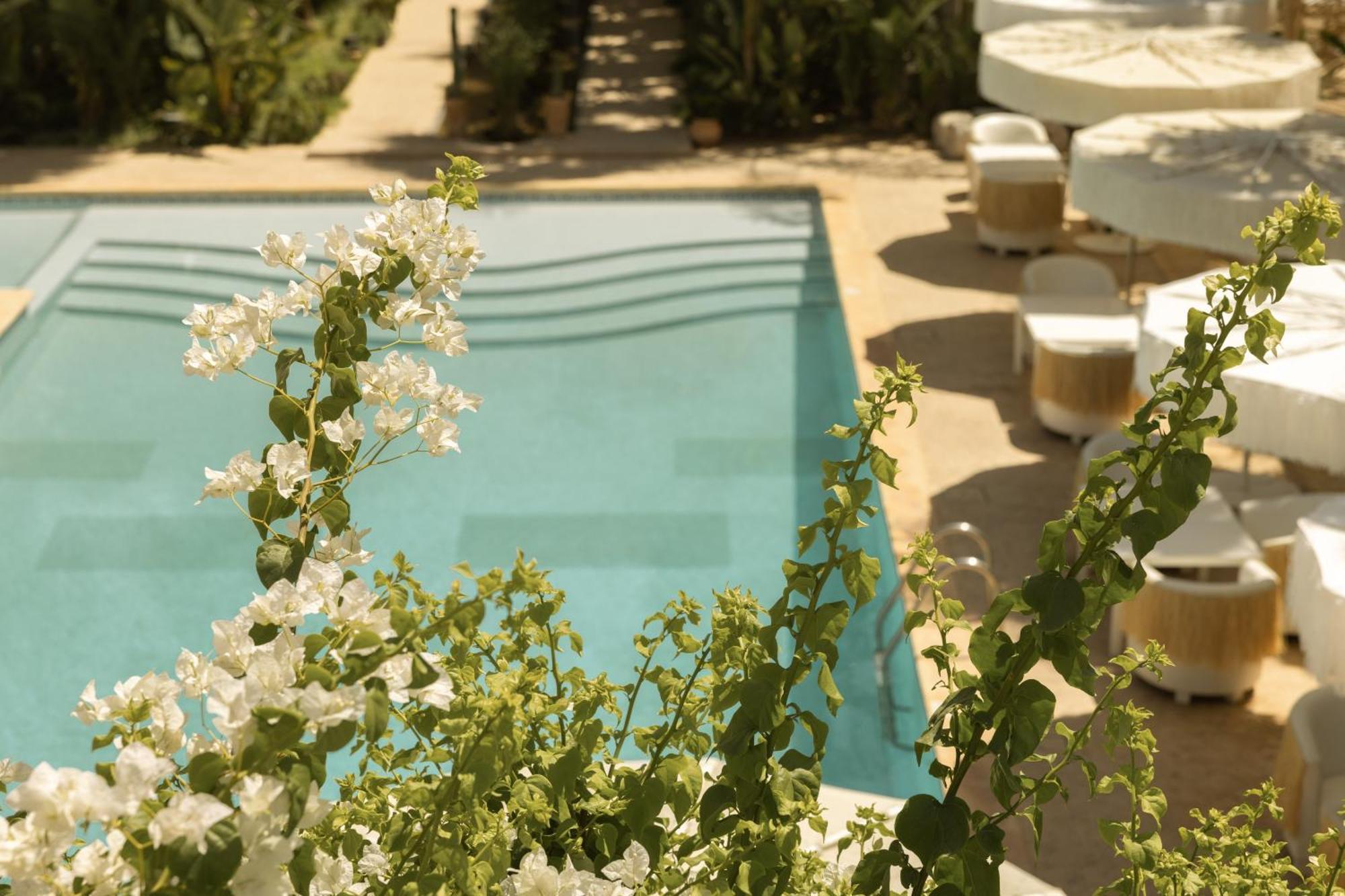 Les Palmiers Boutique Hotel & Spa Marakeş Dış mekan fotoğraf