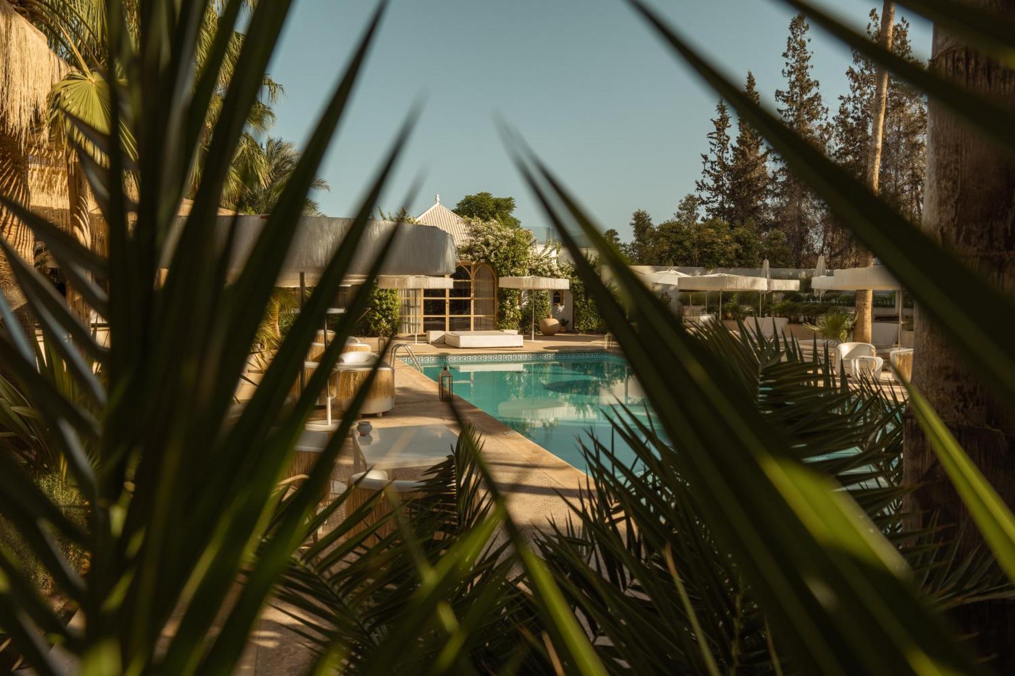 Les Palmiers Boutique Hotel & Spa Marakeş Dış mekan fotoğraf