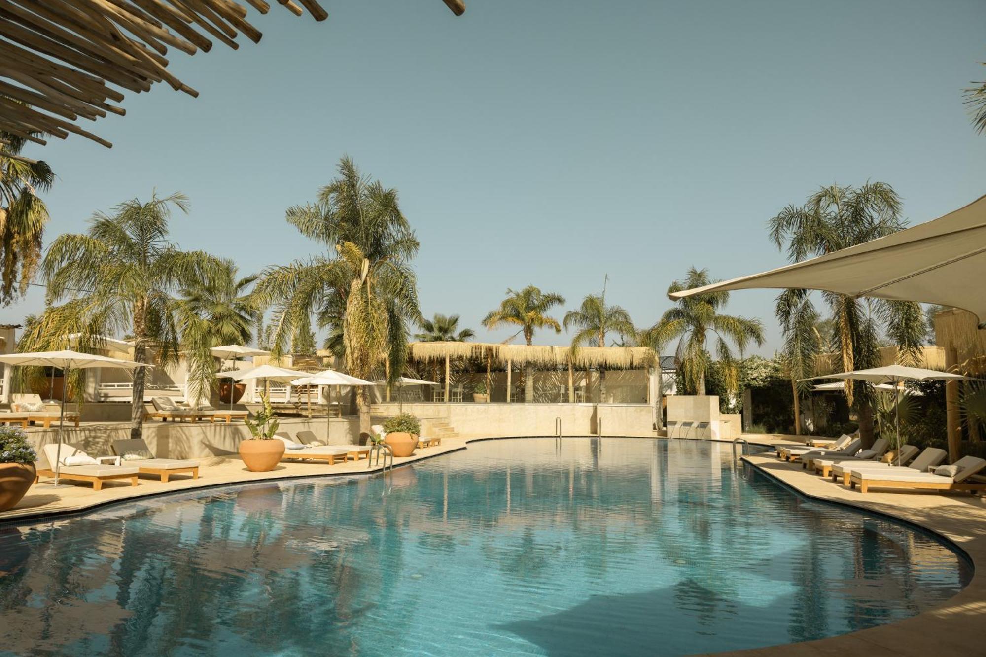 Les Palmiers Boutique Hotel & Spa Marakeş Dış mekan fotoğraf
