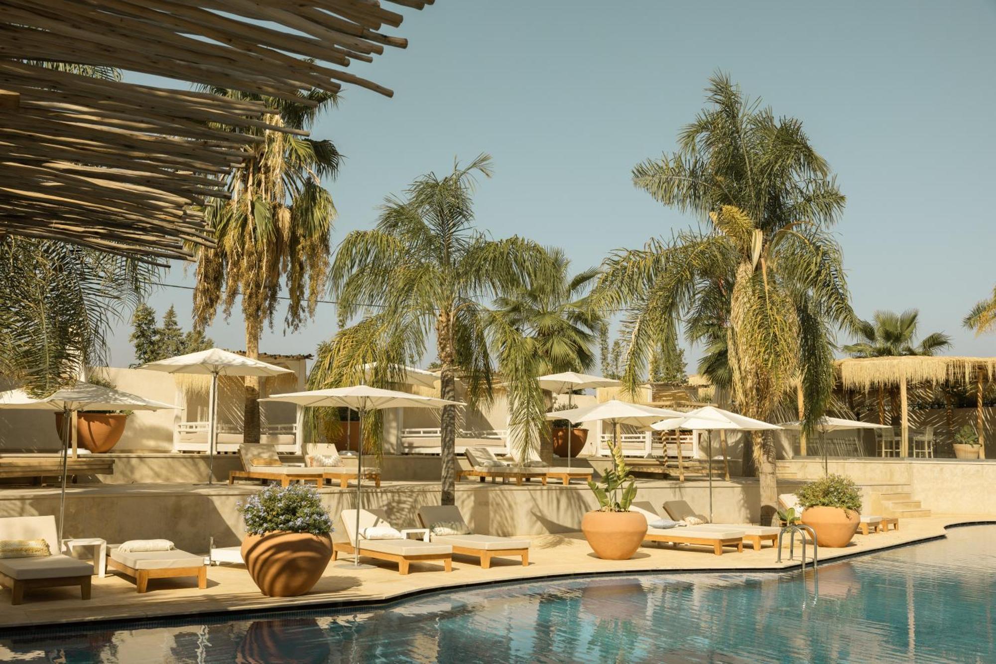 Les Palmiers Boutique Hotel & Spa Marakeş Dış mekan fotoğraf